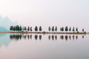 海贼王red国内什么时候上映