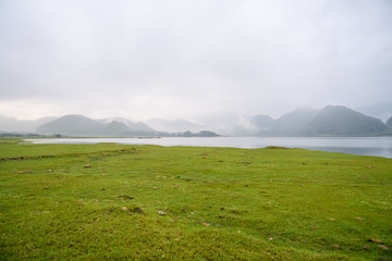 海贼王red国内什么时候上映